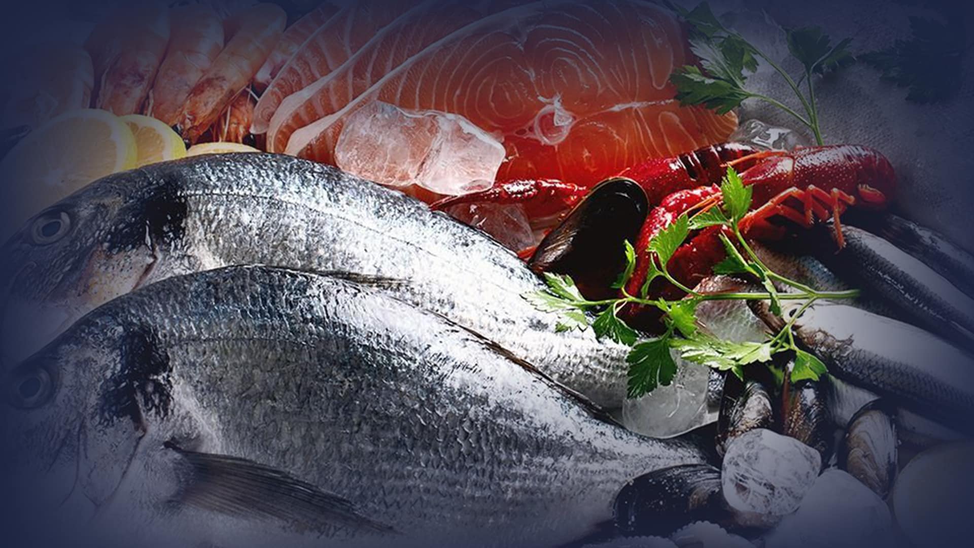 Rakı Balık
Limanda Balık
Limanda Buluşalım